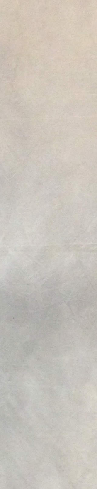 J. Nick Taylor Site BG