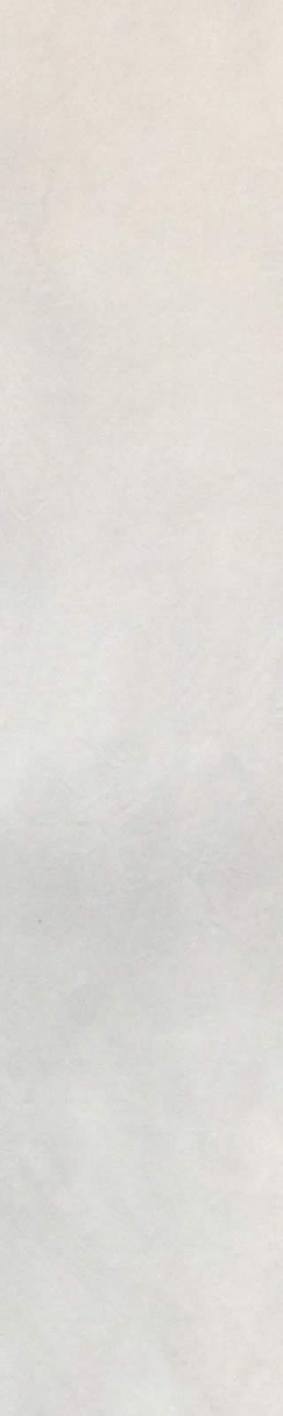 J. Nick Taylor Site BG